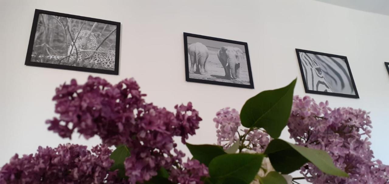 Ferienwohnung Wittenberge Kültér fotó